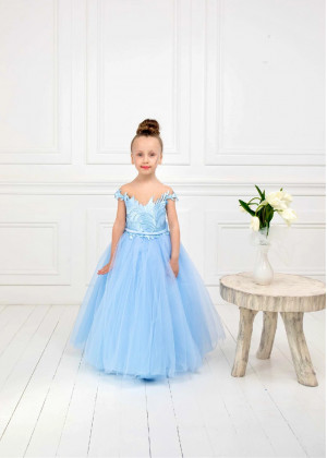 Cap Sleeves Blue Lace Tulle Floor Length Flower Girl Dress
